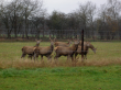 stal_herten slemaco agrarisch